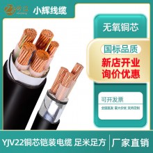 YJV22無氧銅芯鋼帶鎧裝電纜線35/50/70/120/240平方345芯低壓國標