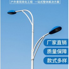 路燈生產(chǎn)廠家 大功率市電LED強(qiáng)光燈定制6米8米10米市政道路照明燈