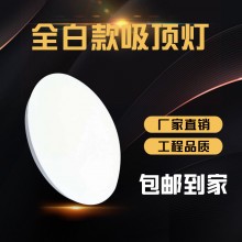 商家直銷(xiāo)LED吸頂燈過(guò)道燈詩(shī)派照明全白款吸頂燈