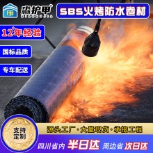 改性瀝青sbs防水卷材聚酯胎熱熔火烤型樓頂漏水補漏防水材料定 制